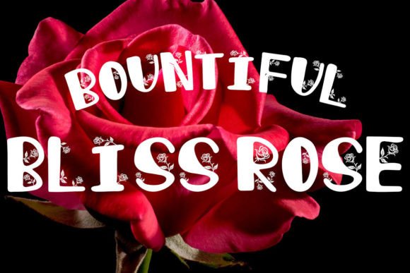 Bountiful Bliss Rose Font Review