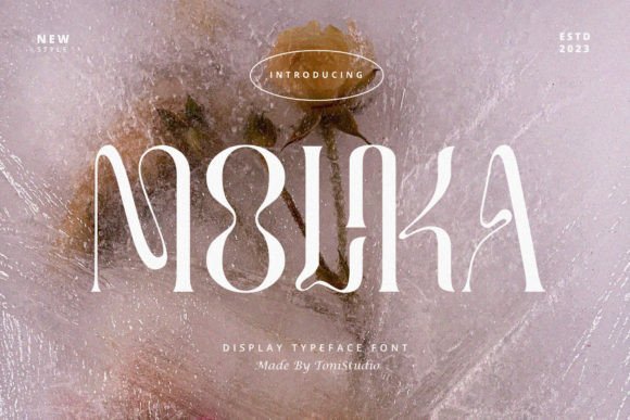 Choosing the Right Font: Molika for a Modern Web Design